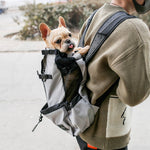Small dog carrier backpack with breathable design for comfortable pet travel and outdoor adventures